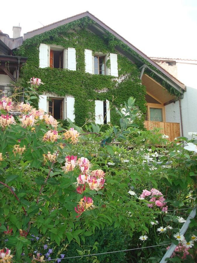 Wonderlandscape Guest House Le Grand Saconnex Ngoại thất bức ảnh